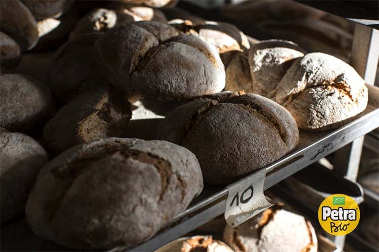 Panepetra, il panificio diventa bakery Sei panettieri veneti per il bio Panepetra, il panificio diventa bakery Sei panettieri veneti per il bio
