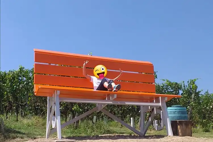 La Big Bench di Codevilla. Fonte: Facebook Comune di Codevilla 