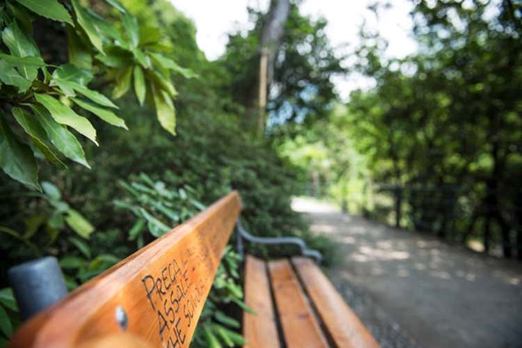 Le panchine con le celebri scritte - Montagna, poesia e mostre A Merano vacanze per tutti
