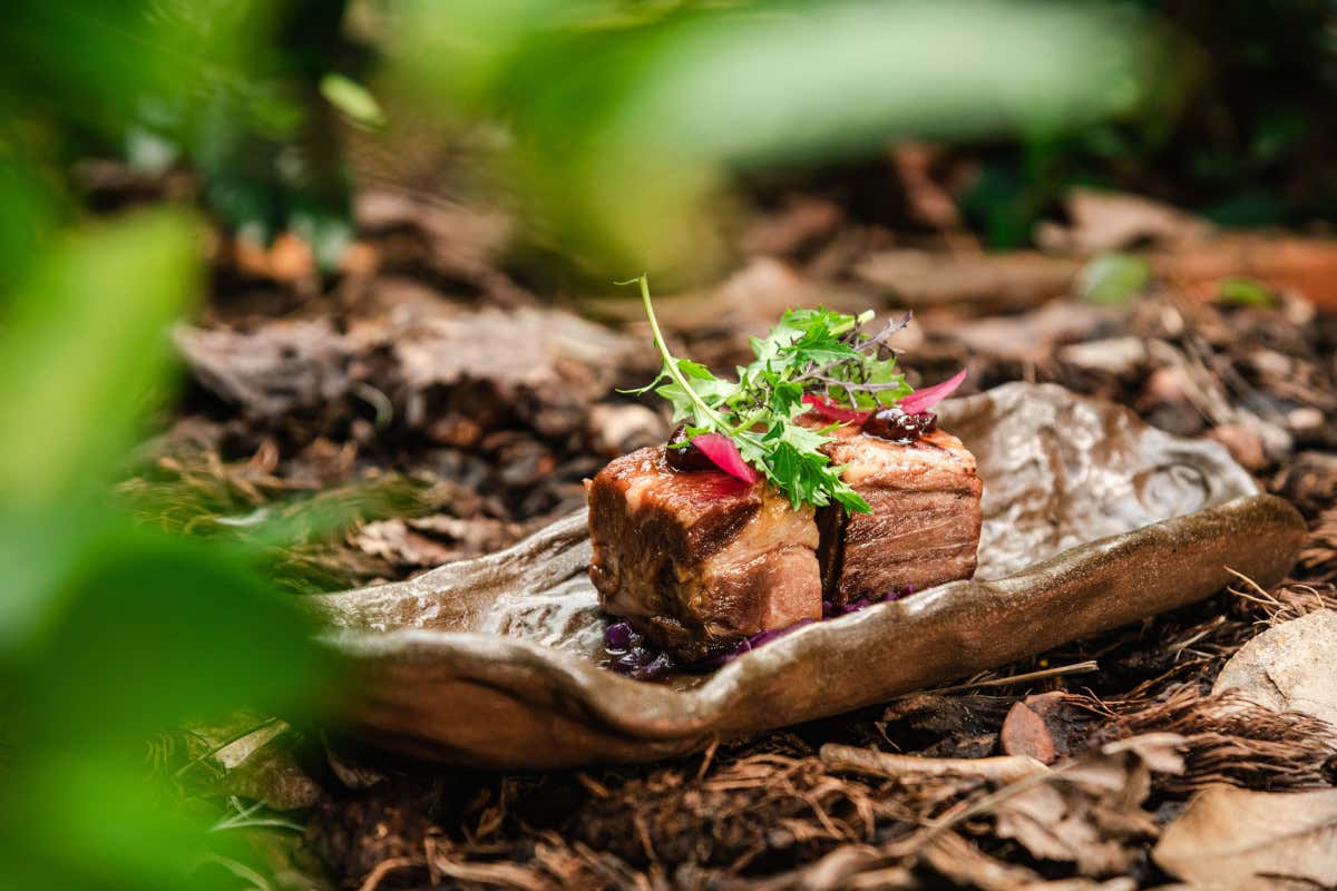Prodotti tipici del Lazio in vetrina Cantina S.Andrea esalta i vini del Basso Lazio