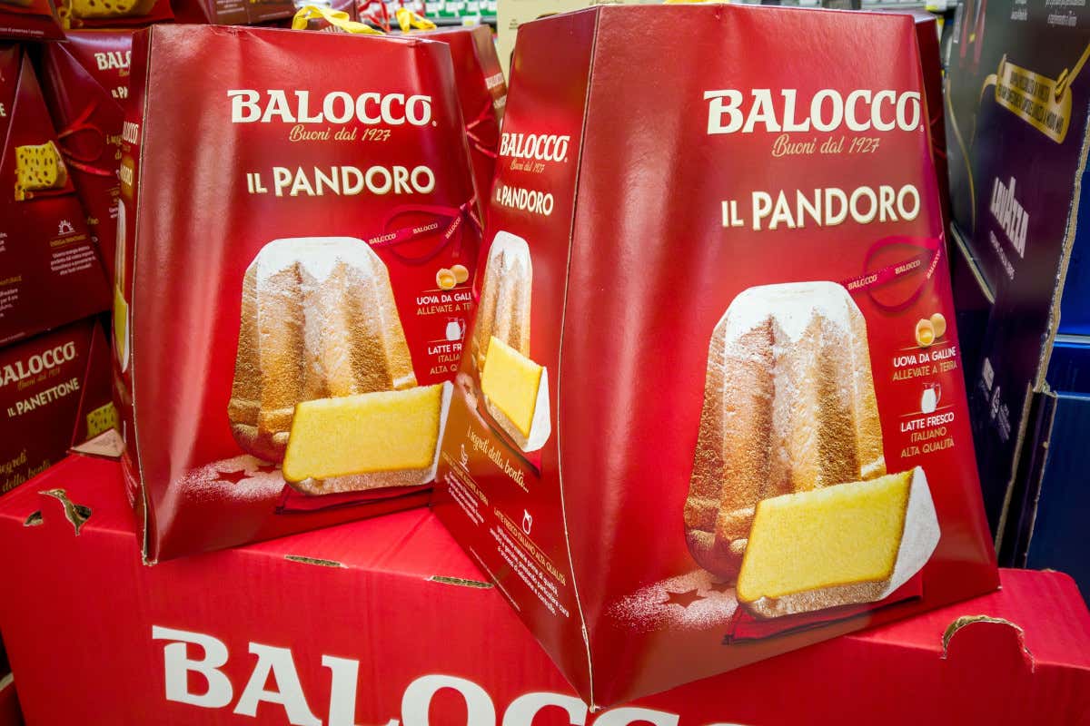 Pandoro o panettone? Ecco cosa preferiscono gli italiani nel 2025 Pandoro o panettone? Ecco cosa preferiscono gli italiani nel 2025