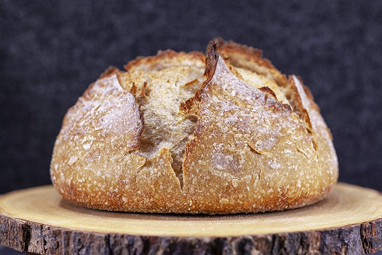 Il Manifesto per un pane migliore Molino Quaglia lancia una petizione