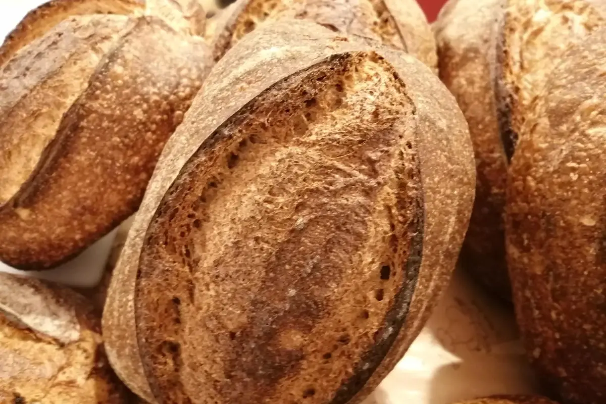 Pane