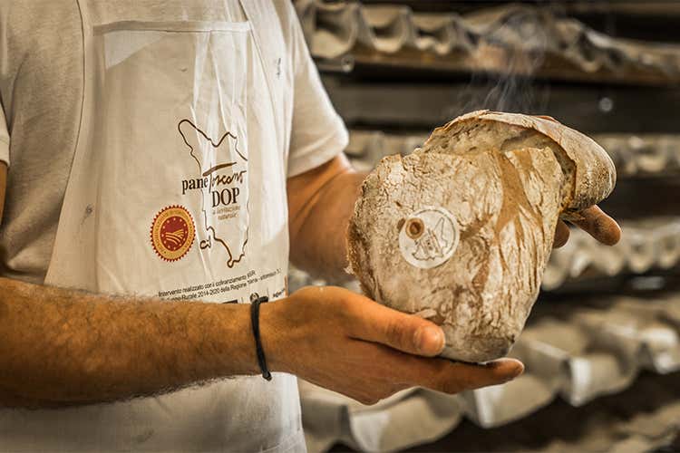 (Consorzio Pane Toscano Dop Nuova immagine e comunicazione mirata)