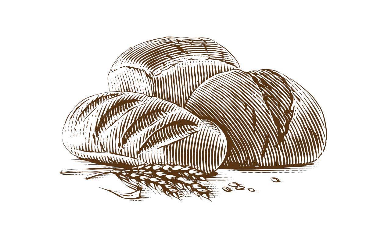 Il pane italiano strega anche Oprah Winfrey ma in Italia rischiamo di perderlo