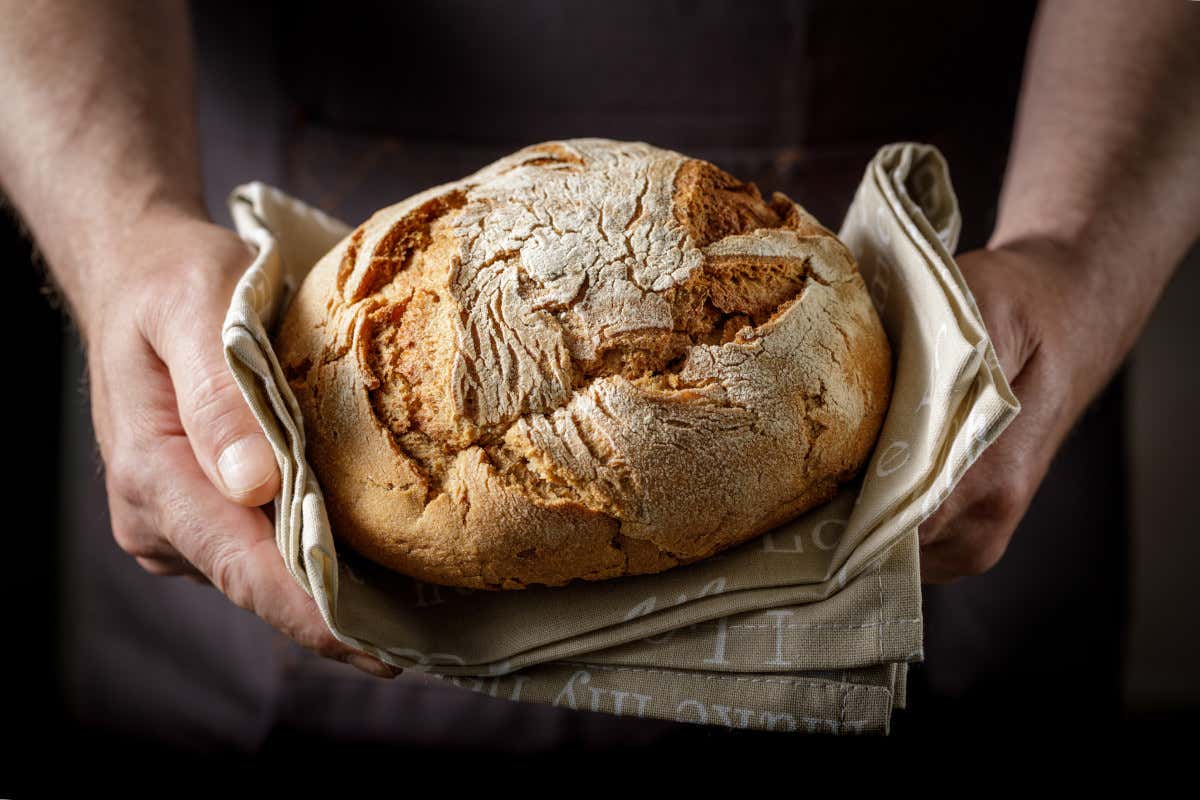 Il pane nell'alta cucina: un elemento inaspettatamente protagonista