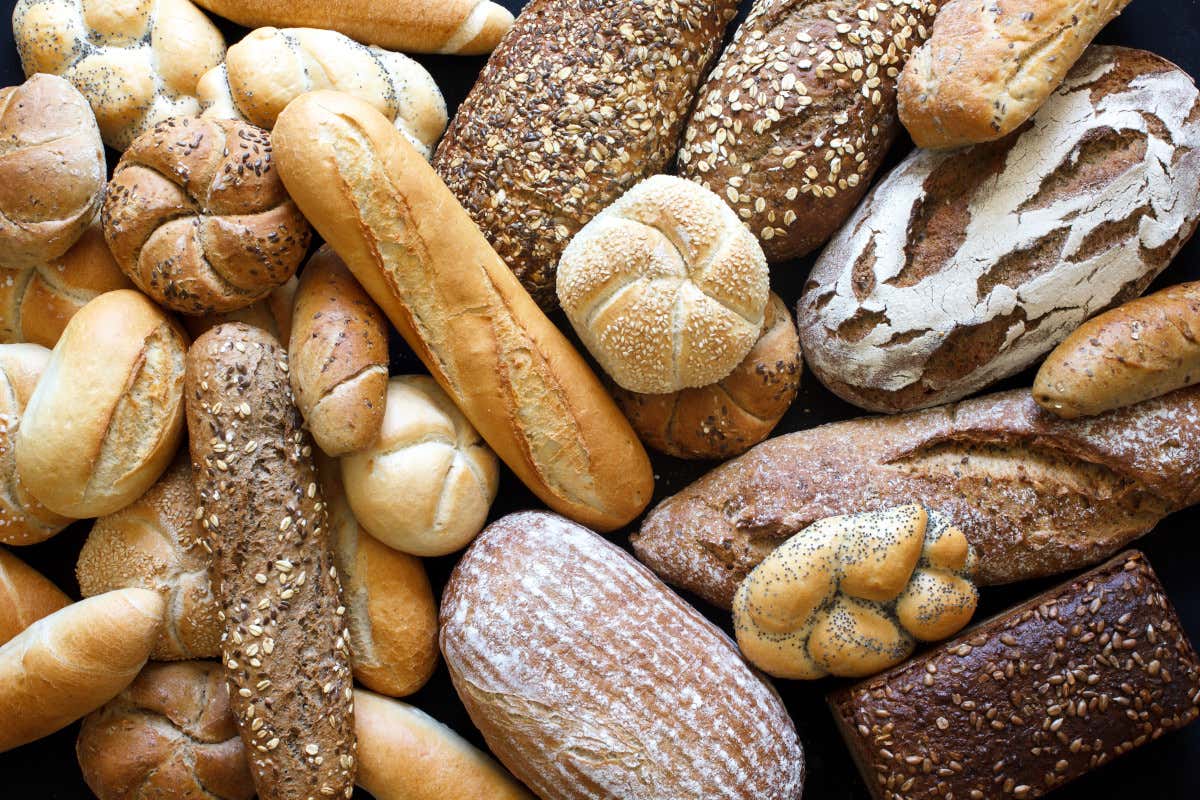 Panoramika: ad Acqualagna il Festival internazionale dedicato al pane