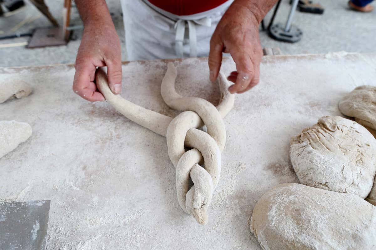 Il panificatore oggi: custode delle radici e imprenditore con il grembiule