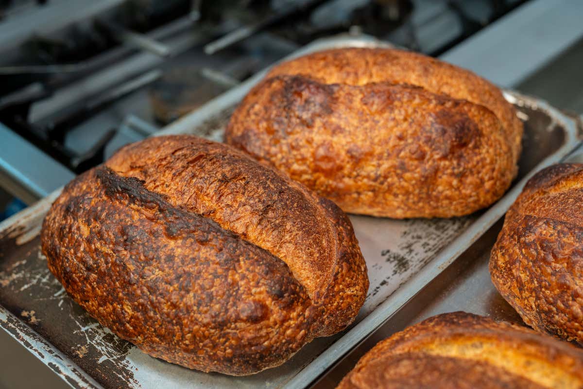 Koinè Restaurant a Legnano: la cucina come linguaggio comune