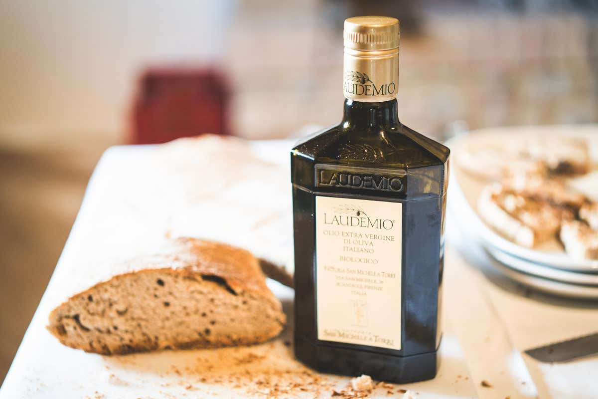 Perché il Laudemio è tra gli extravergini più ricercati del mondo