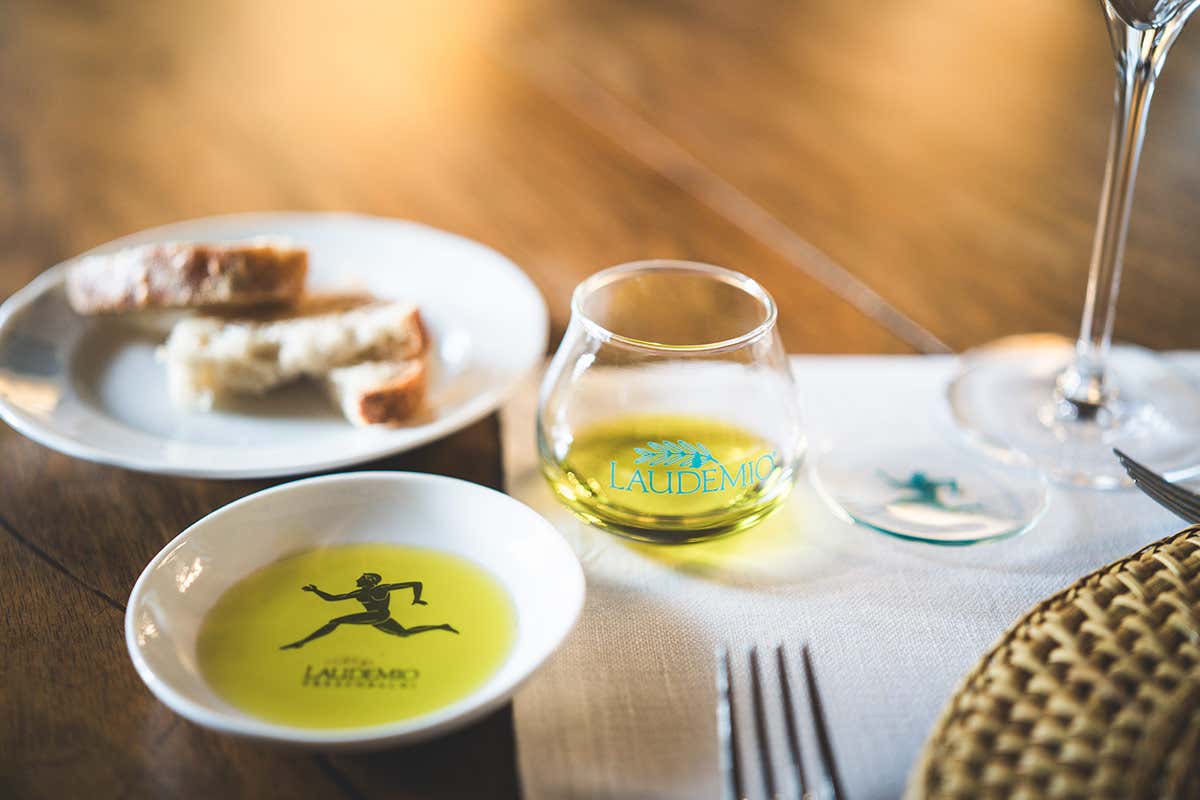 Perché il Laudemio è tra gli extravergini più ricercati del mondo