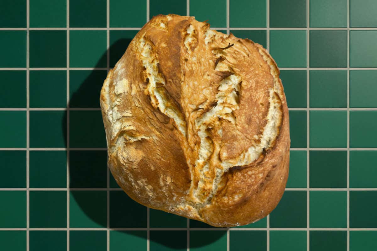 Pane, simbolo d’Italia ma sempre più sprecato: il 62% degli italiani lo butta Pane, simbolo d’Italia ma sempre più sprecato: il 62% degli italiani lo butta
