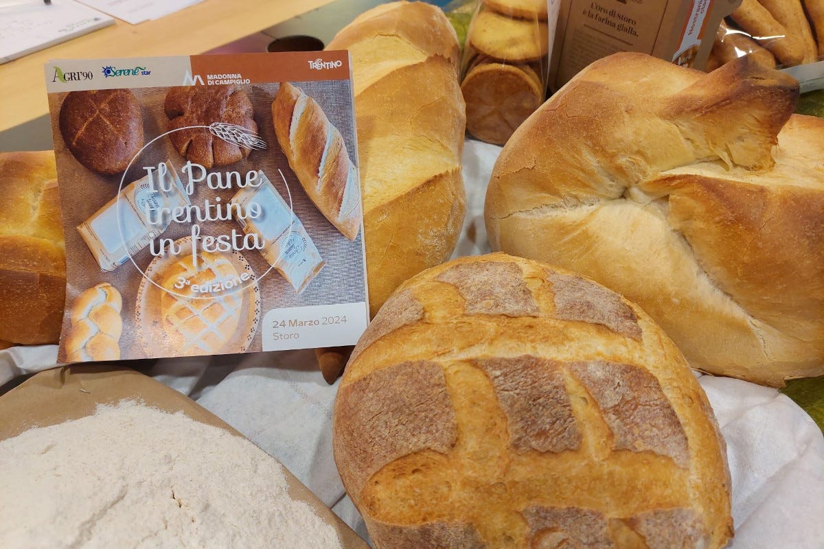 Degustazioni, showcooking e stand: il programma della Festa del pane a Storo