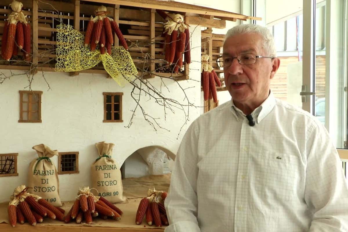 Degustazioni, showcooking e stand: il programma della Festa del pane a Storo