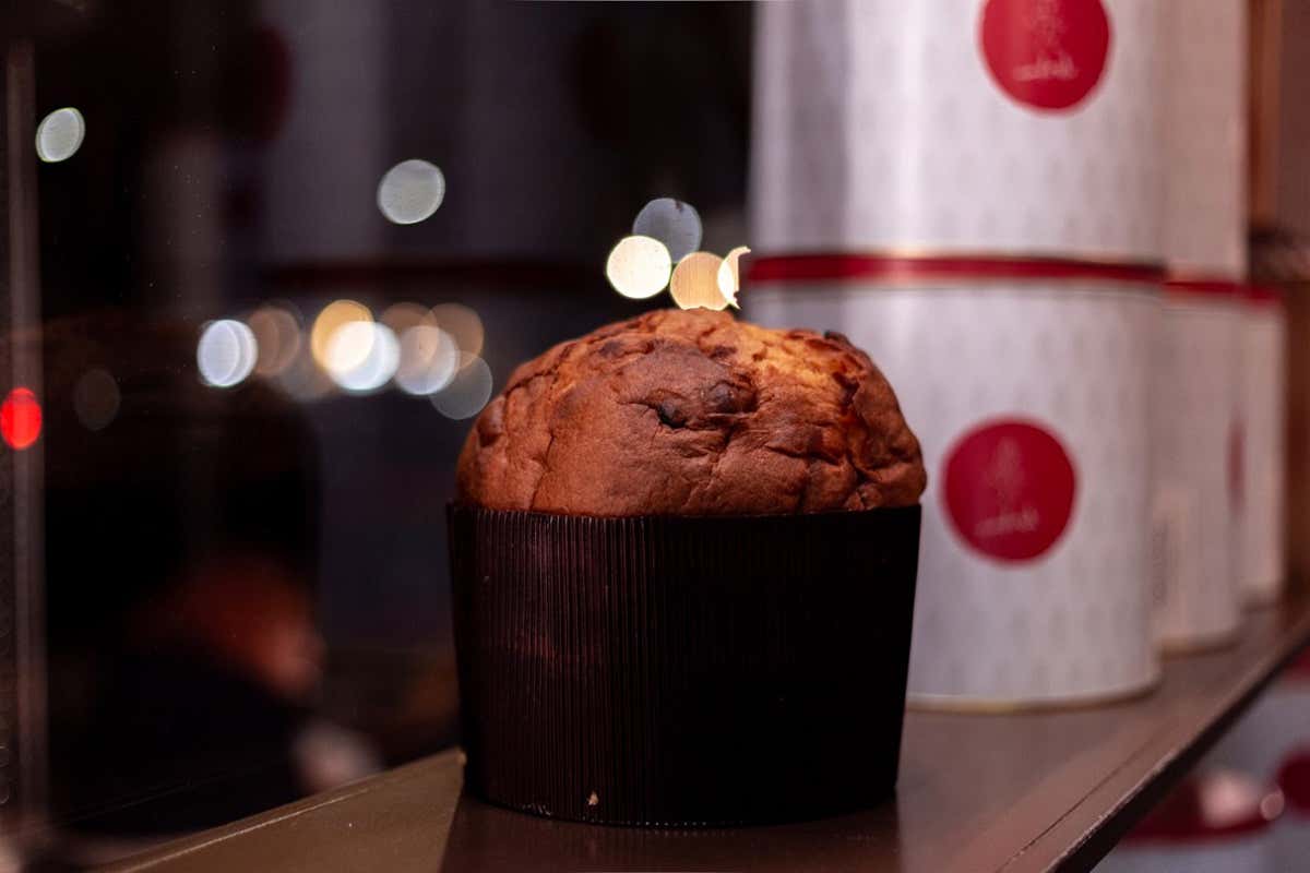 Il nuovo Panettone estivo - Foto CoffeeAndLucas_MyMedia Studio Casa Manfredi festeggia sette anni di successi