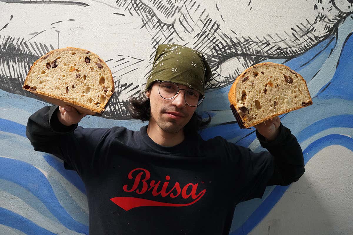 Panettone vegano Forno Brisa all’insegna della produzione etica Panettone vegano Forno Brisa all’insegna della produzione etica