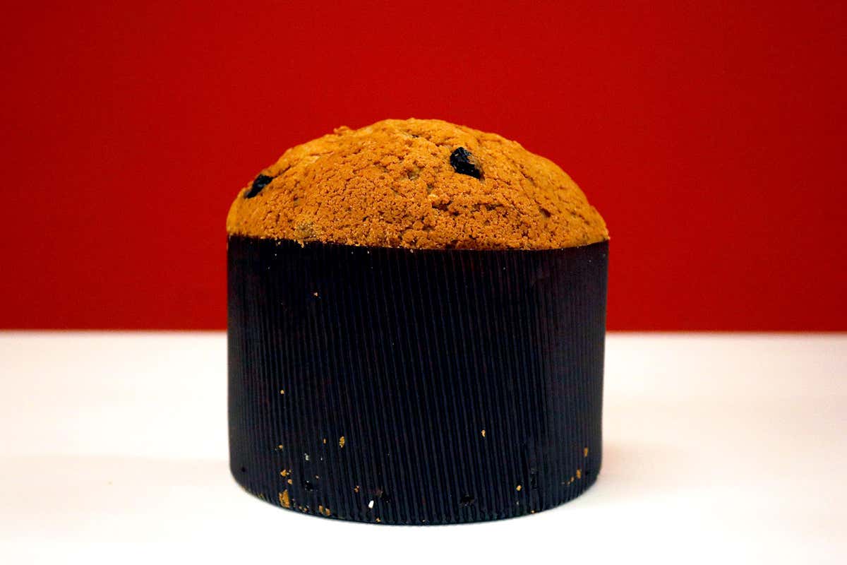 Lievitati, 2° premio È già boom di panettoni a Milano. I migliori quelli di Achille Zoia e Helga Liberto