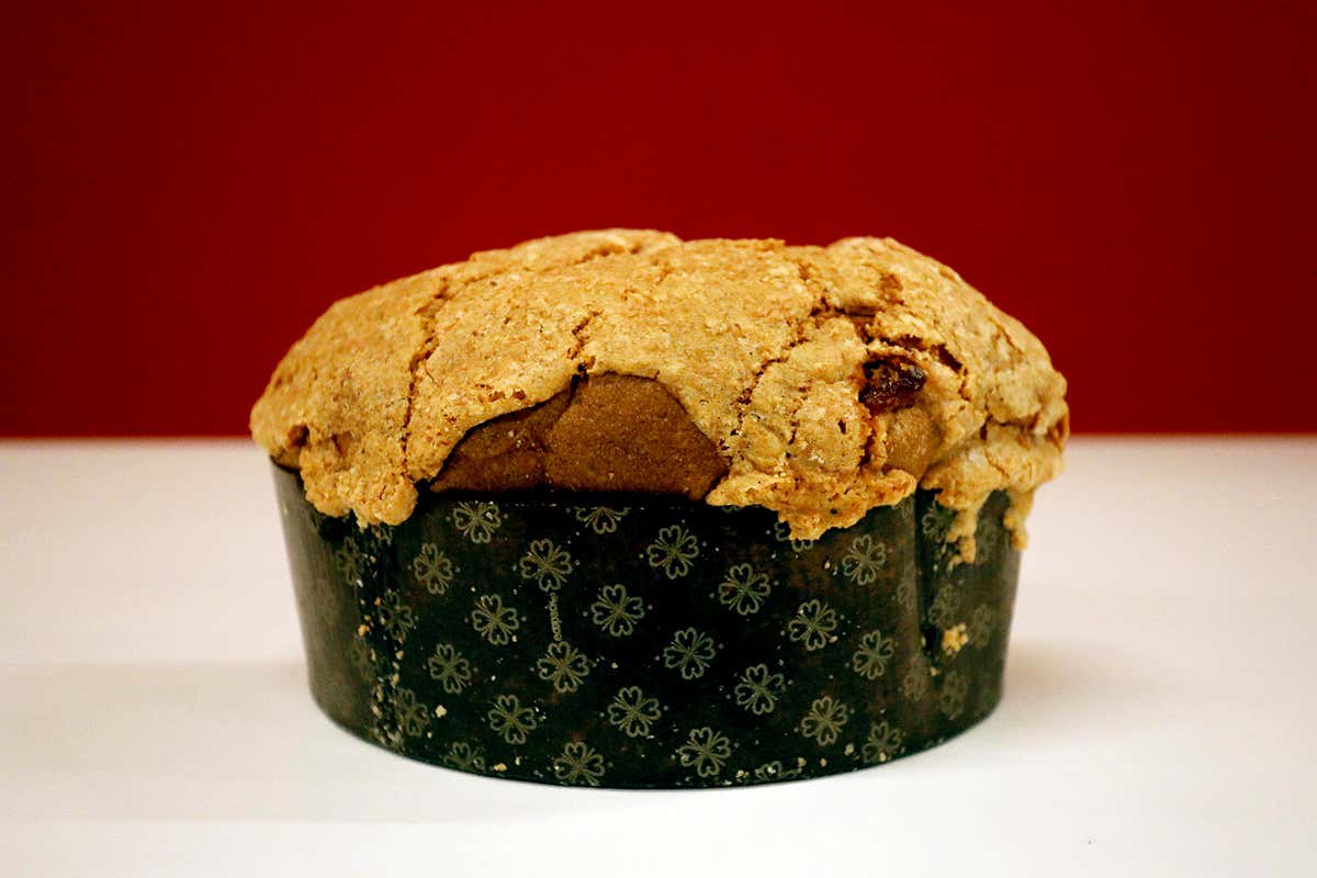 Lievitati, 1° premio È già boom di panettoni a Milano. I migliori quelli di Achille Zoia e Helga Liberto