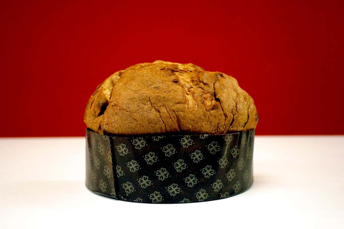 Panettone, 3° premio È già boom di panettoni a Milano. I migliori quelli di Achille Zoia e Helga Liberto