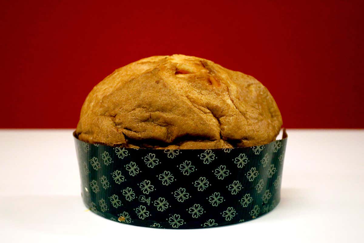 Panettone, 2° premio È già boom di panettoni a Milano. I migliori quelli di Achille Zoia e Helga Liberto