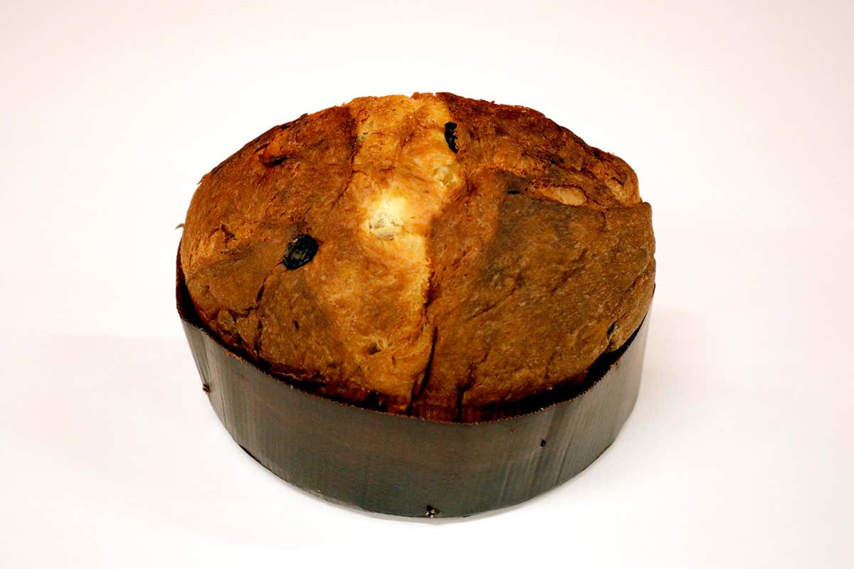 Panettone, 1° premio È già boom di panettoni a Milano. I migliori quelli di Achille Zoia e Helga Liberto