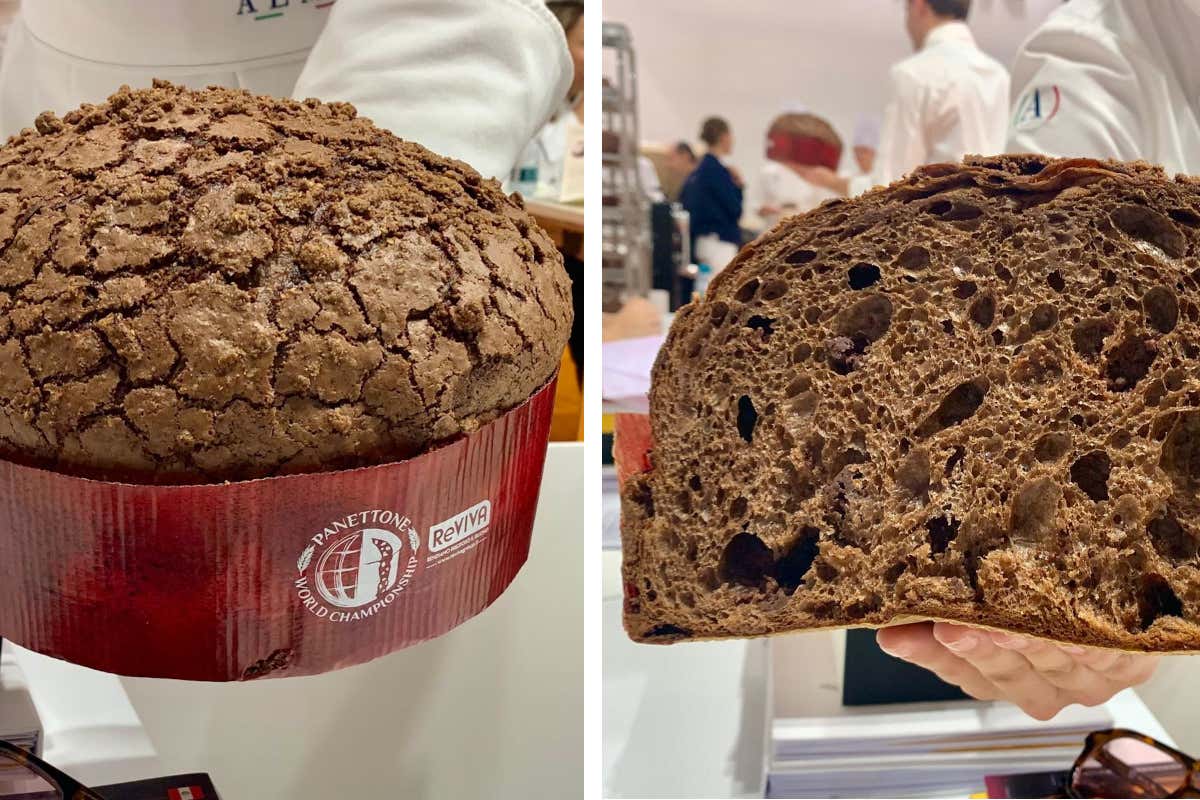 Di Taiwan i migliori panettoni al mondo: tutti i vincitori del 2025
