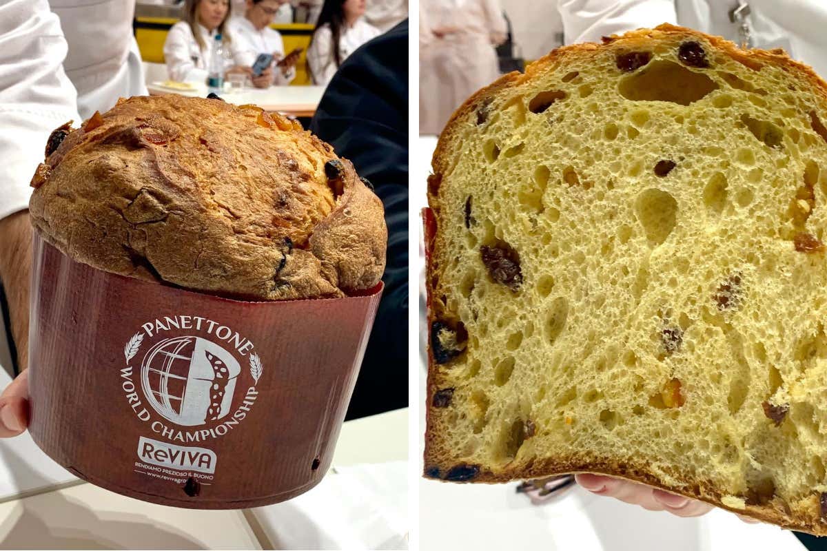 Di Taiwan i migliori panettoni al mondo: tutti i vincitori del 2025 Di Taiwan i migliori panettoni al mondo: tutti i vincitori del 2025