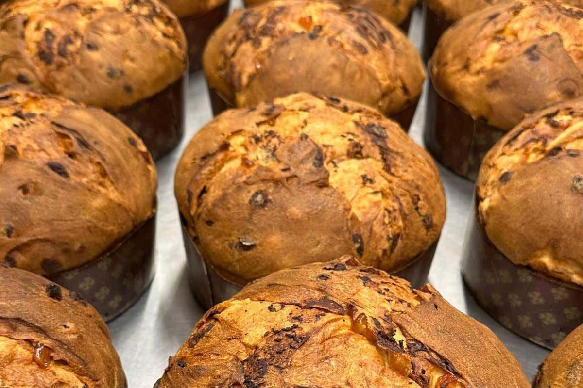 I panettoni e pandori dei pasticcieri italiani. Ecco come e dove comprarli I panettoni e pandori dei pasticcieri italiani. Ecco come e dove comprarli
