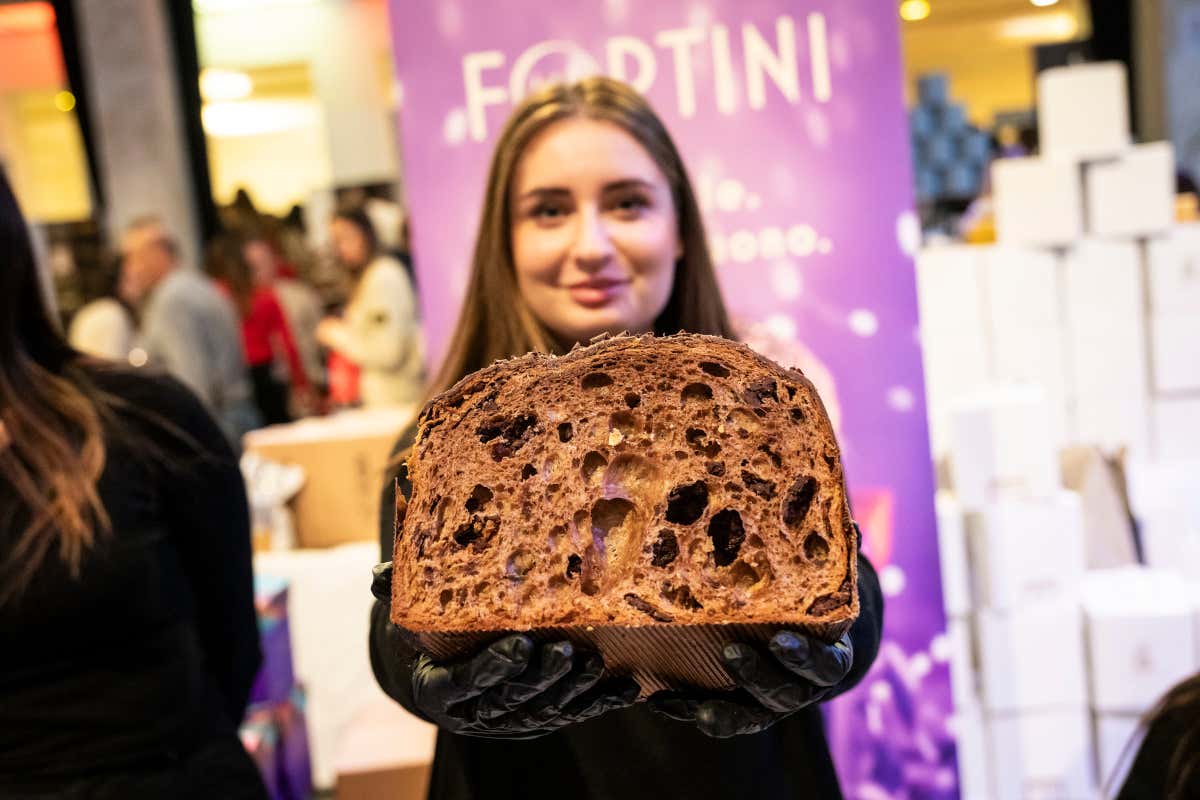 Panettone Maximo 2025: Roma celebra il dolce di Natale con gusto e spettacolo