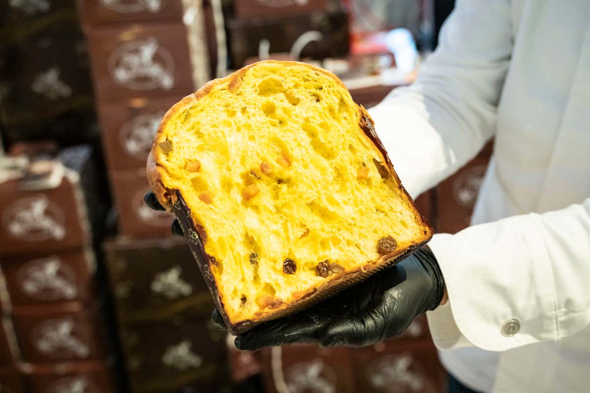 Panettone Maximo 2025: Roma celebra il dolce di Natale con gusto e spettacolo Panettone Maximo 2025: Roma celebra il dolce di Natale con gusto e spettacolo