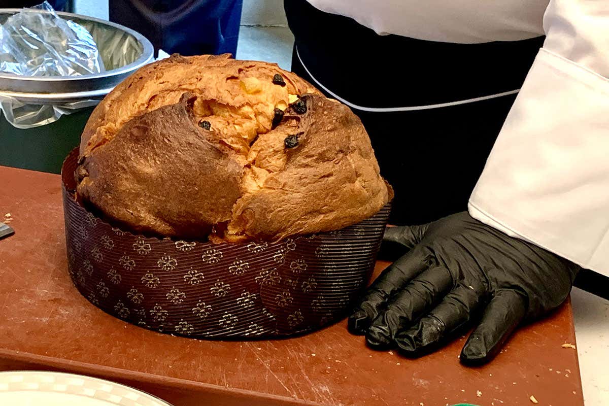 A Domenico Napoleone l'edizione 2023 di Panettone Day 