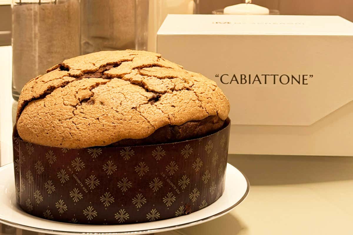 Daniele Verga - Ludovica Mascheroni