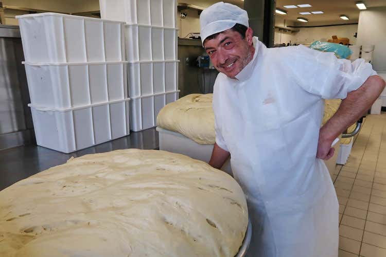 Nicola Fiasconaro (I panettoni di Fiasconaro Dalla Sicilia il classico dolce di Natale)