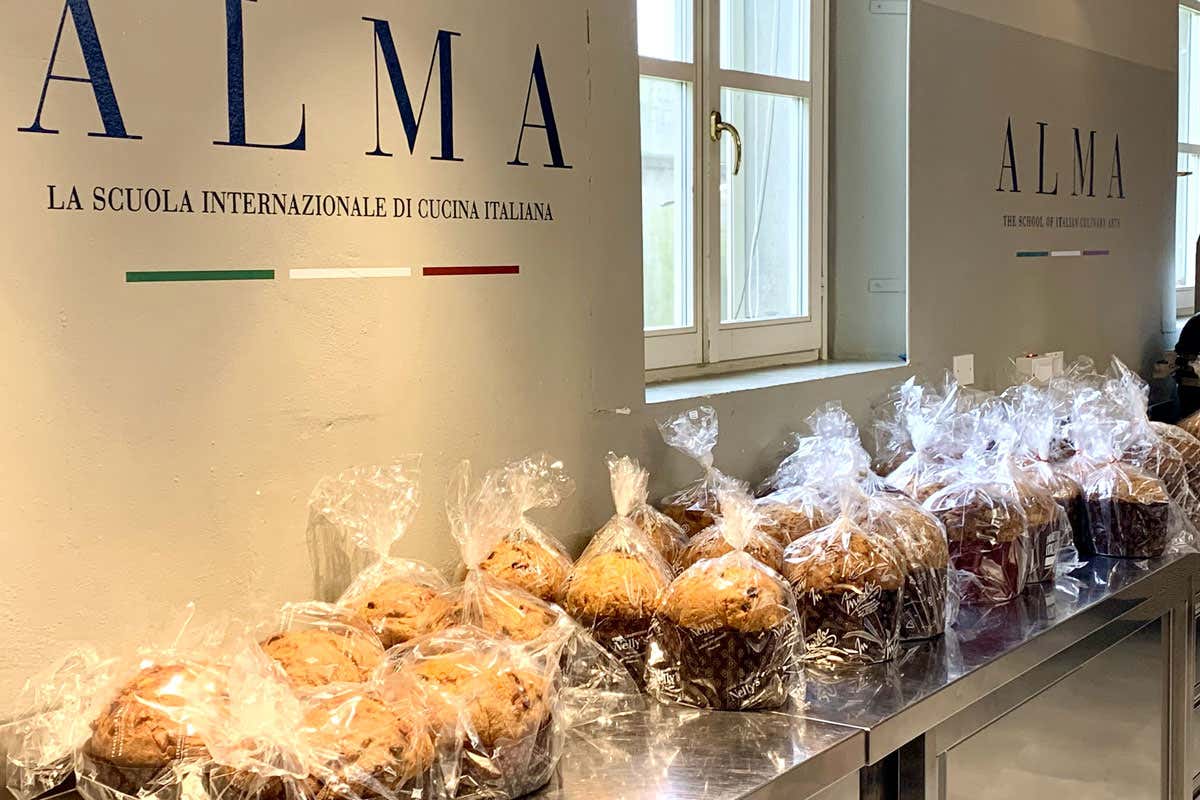 Panettone e lievito madre: quattro tecniche a confronto a Colorno