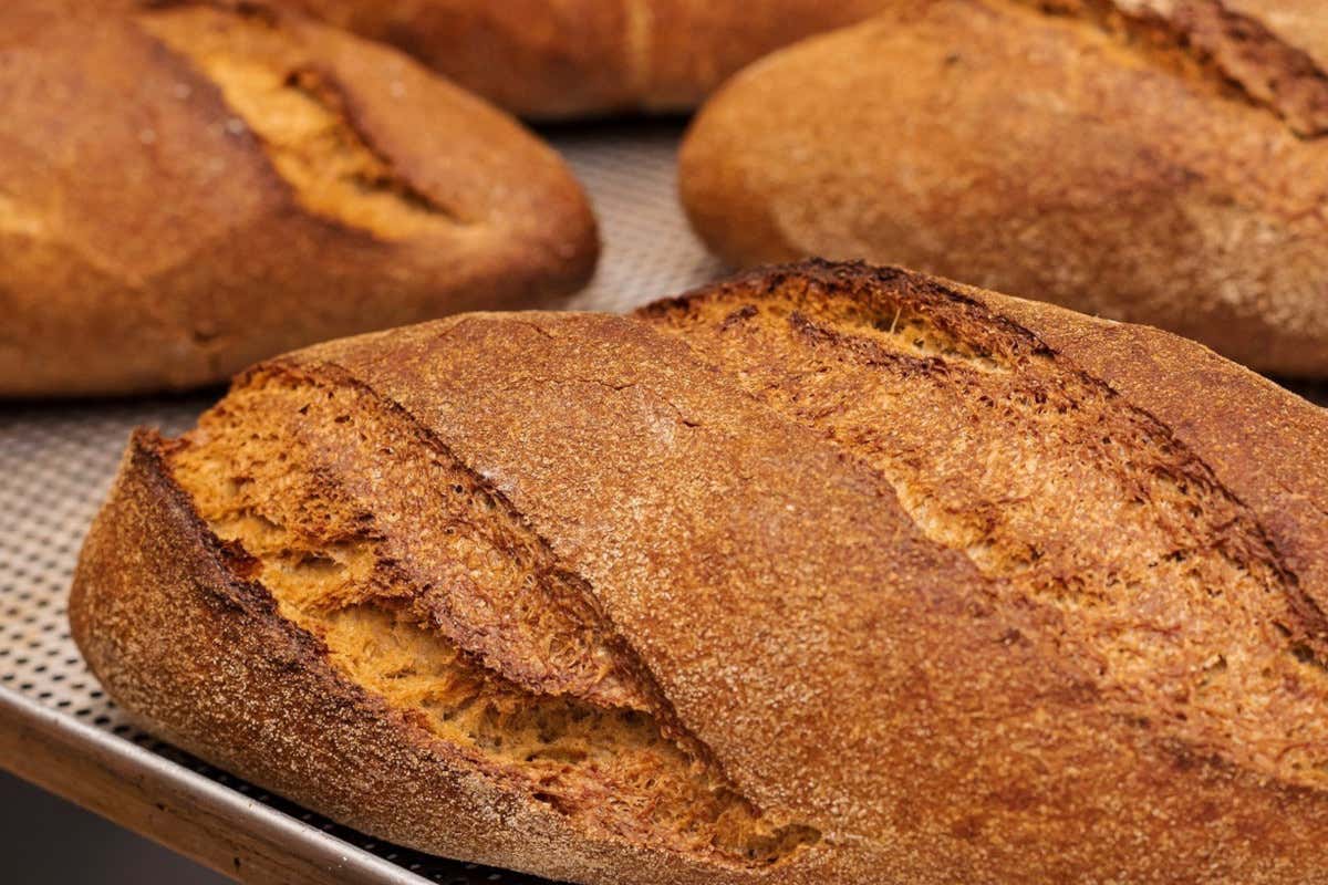 Panificazione contemporanea: il nuovo volto delle aziende familiari