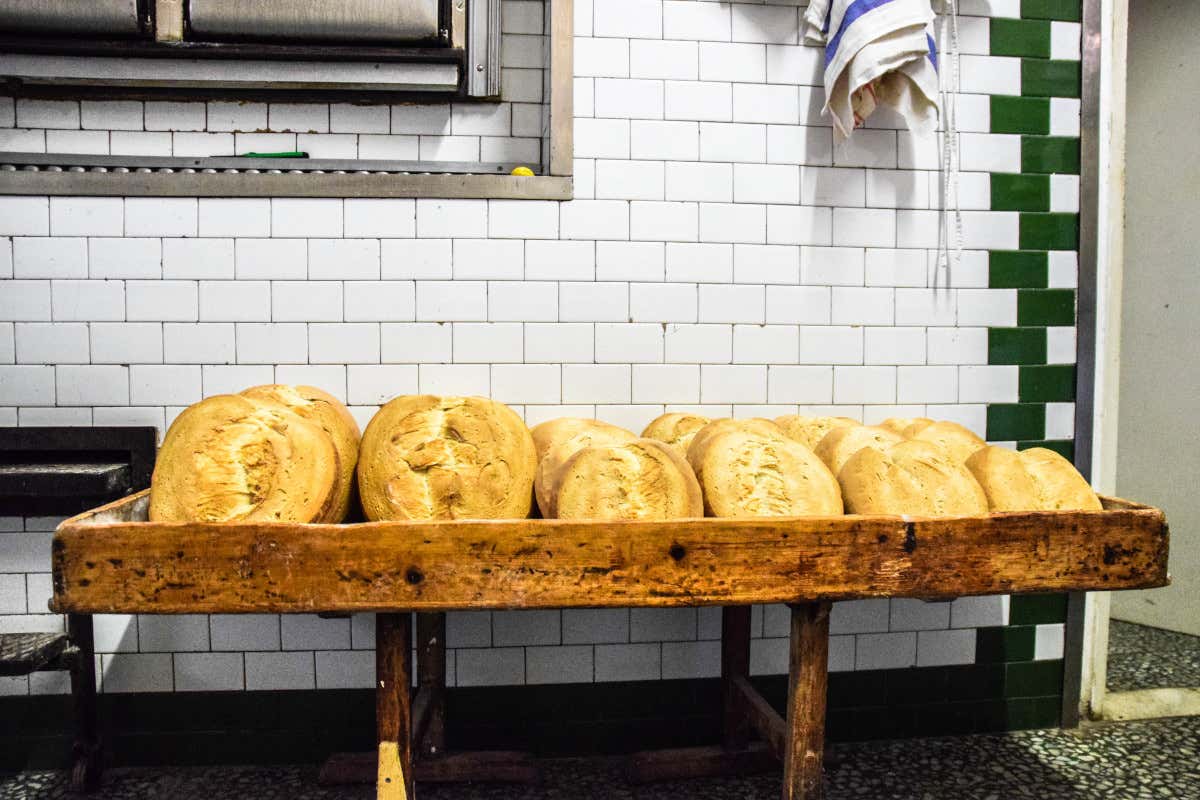 Panificio Carrosio Novese, territorio tutto da scoprire in Piemonte