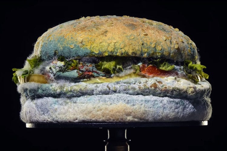 Il panino ammuffito di Burger King (Burger King e il panino ammuffito Online il video è già virale)