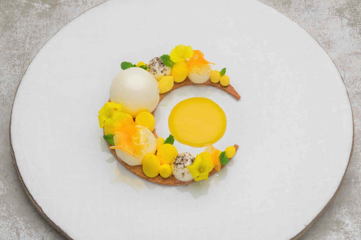 White side of the moon