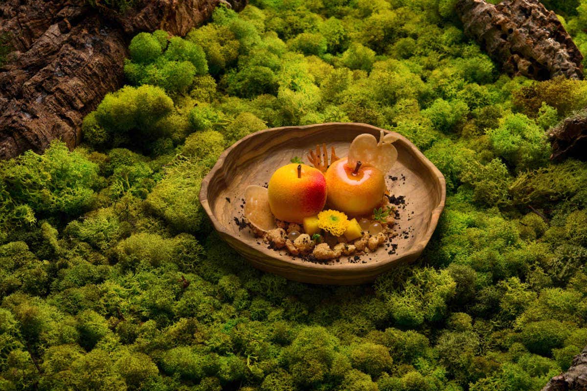 Dessert Carte D’Or Professional senza glutine,
veloci e semplici da preparare