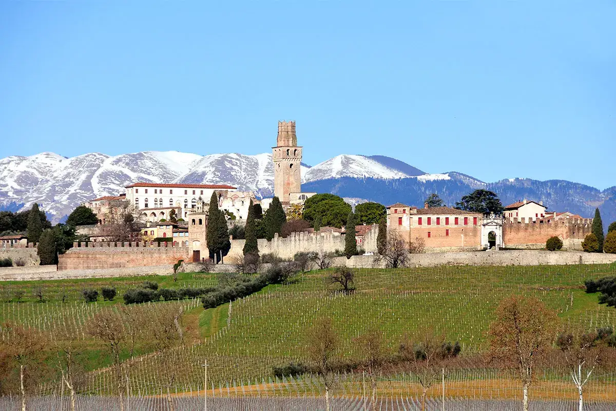 Il Prosecco Ottaviano esalta i sapori del Risotto della Principessa