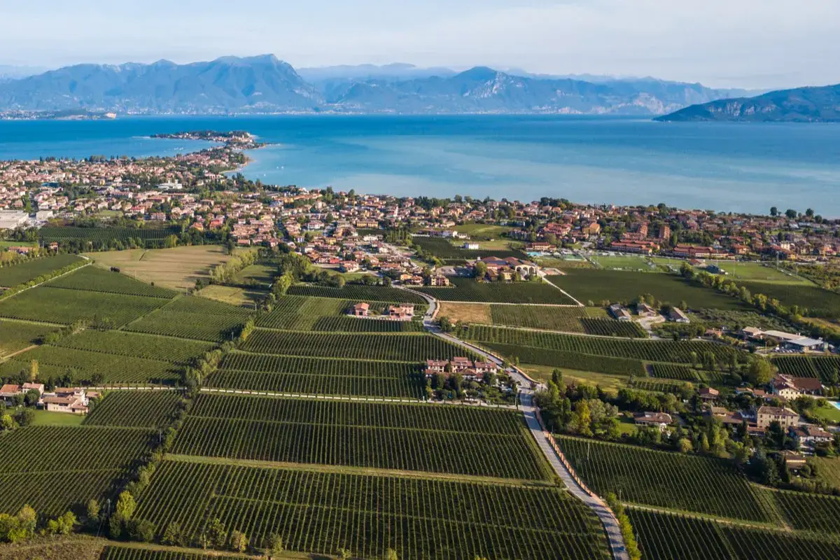 Territorio della Lugana Lugana, da Cà Maiol esperienze sensoriali tra vino e natura