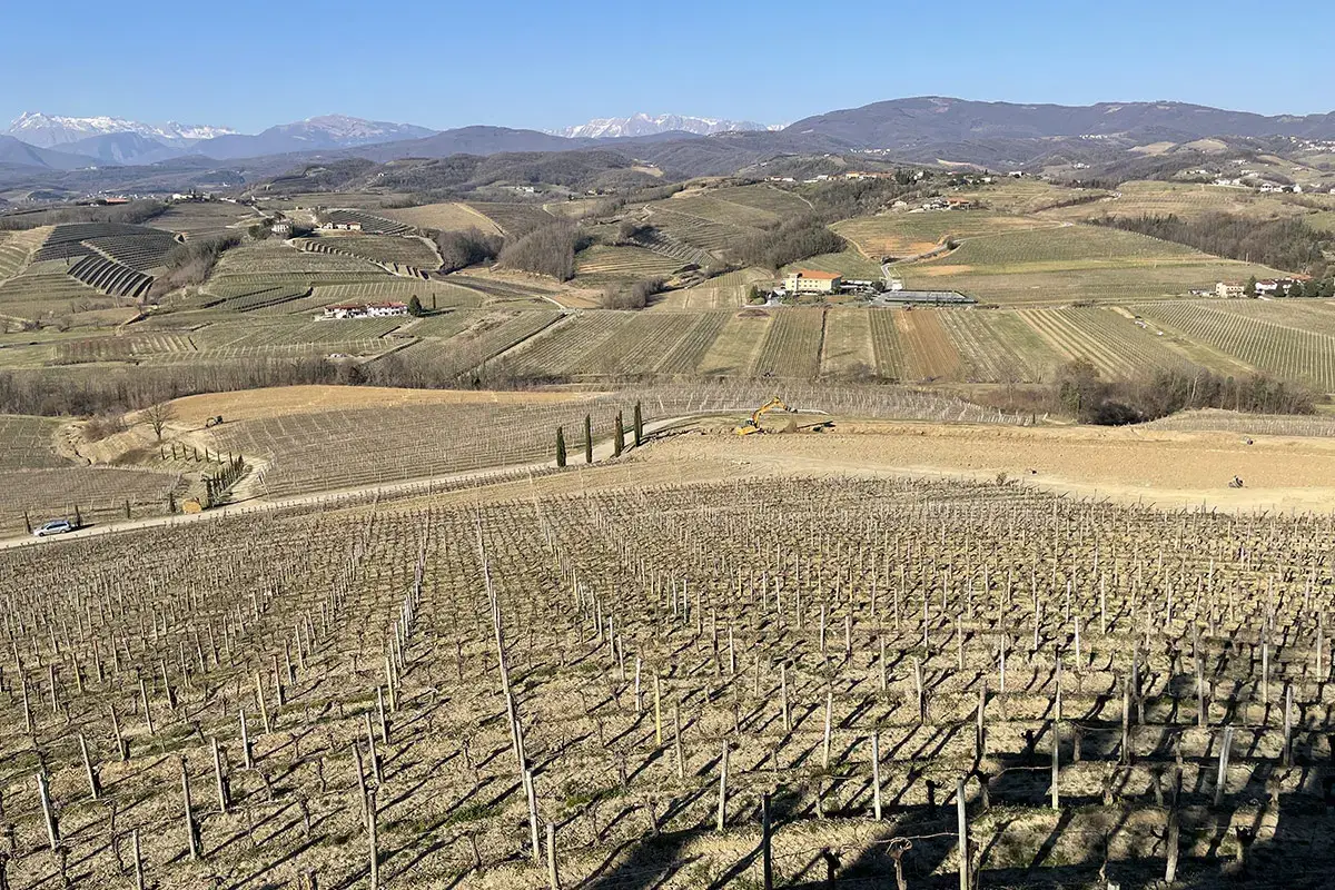 Panoramica dei vigneti, sullo sfondo la Slovenia Livon lancia la sfida del Pinot Nero