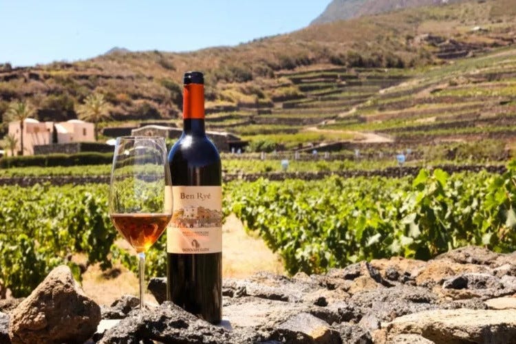Una bottiglia di Zibibbo Incendio di Pantelleria, salve le viti di Zibibbo: ora si teme per quelle bagnate dai Canadair