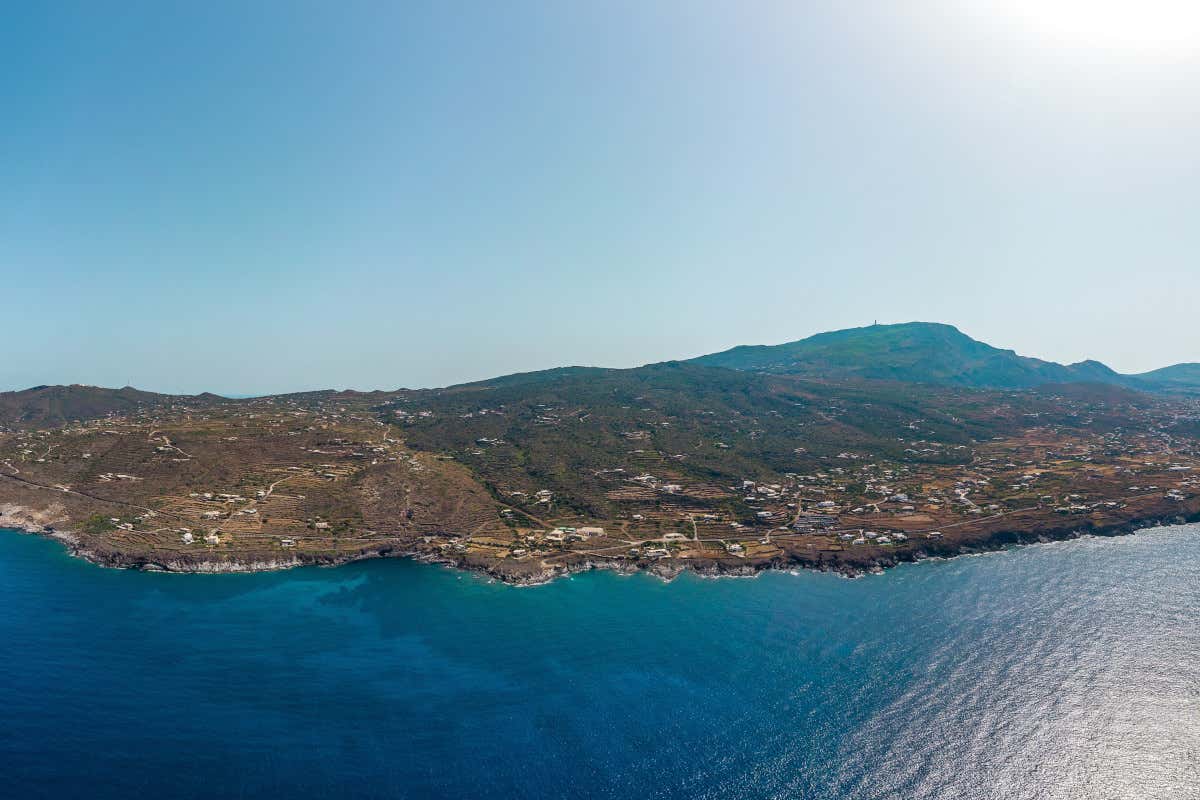 Pantelleria vista dall'alto Pantelleria chiede il riconoscimento Igp e Unesco per i suoi olivi striscianti