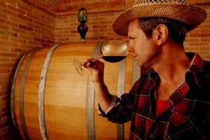Il vignaiolo Paolo Beretta dell'azienda agricola Fiorano (Marche) - Fonte: Mauro Fermariello