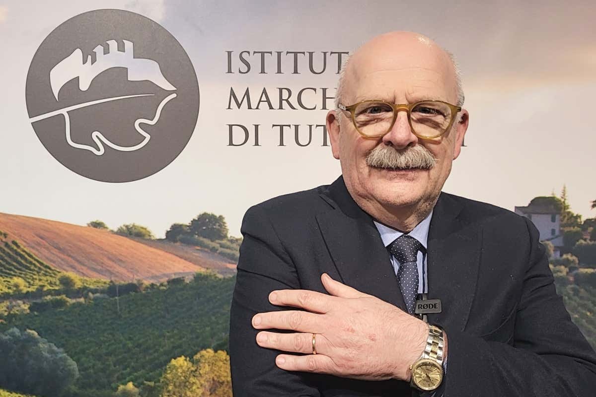 La sfida della sostenibilità per l'Istituto Marchigiano di Tutela Vini