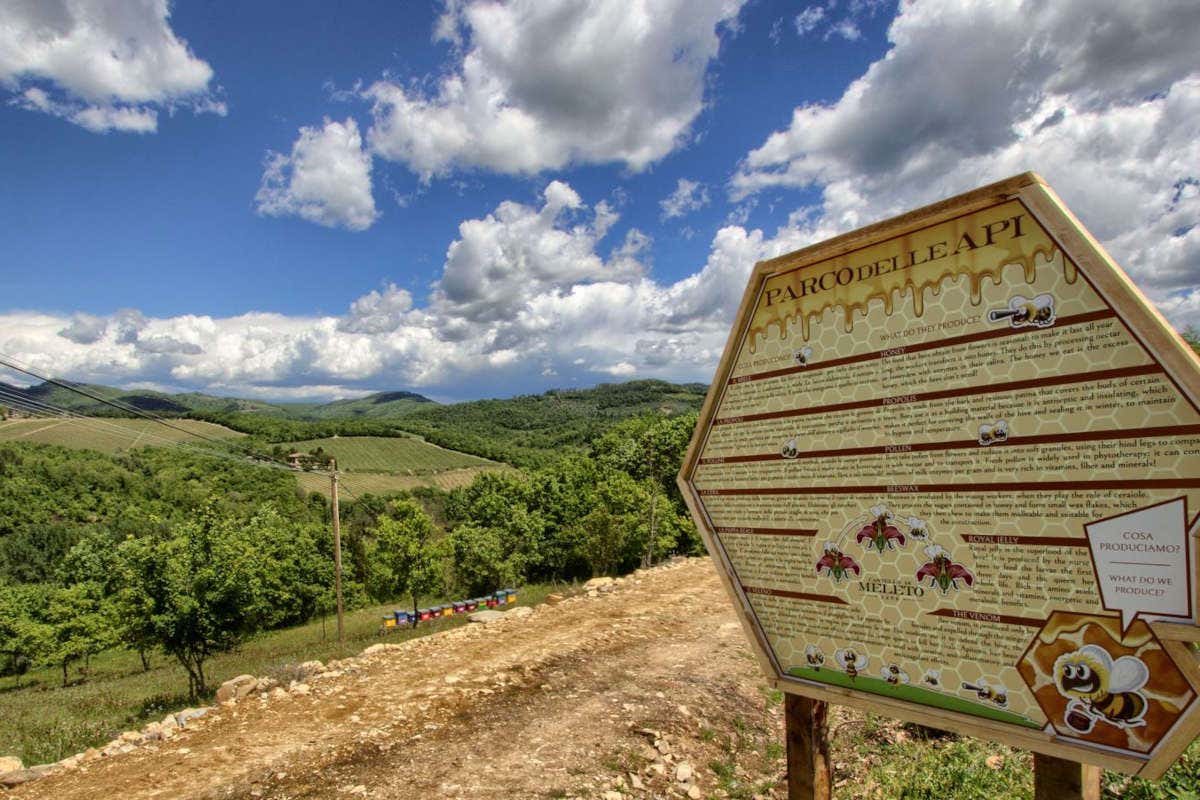 Il Parco delle Api Castello di Meleto diventa societ&agrave; agricola e conferma l'impegno per la sostenibilit&agrave;