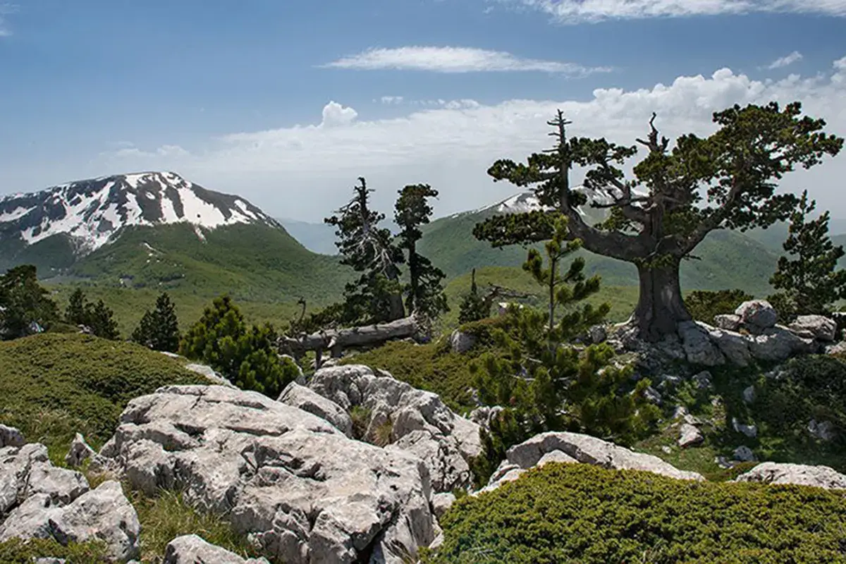 Una vista del Parco del Pollino Parco del Pollino, dagli Appennini vista mare per un'estate Covid-free
