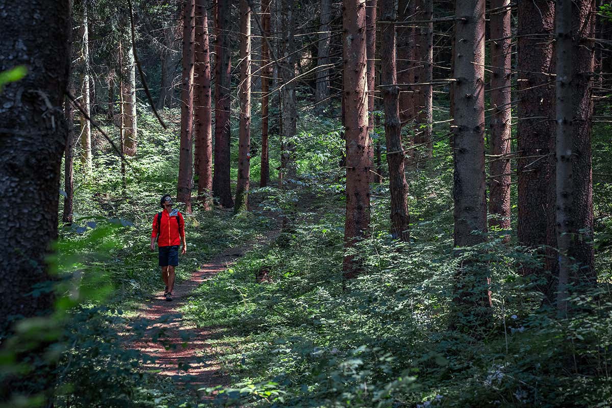 Immersione nel Parco del Respiro - Foto T. Pini Dolomiti Paganella, un sogno a occhi aperti