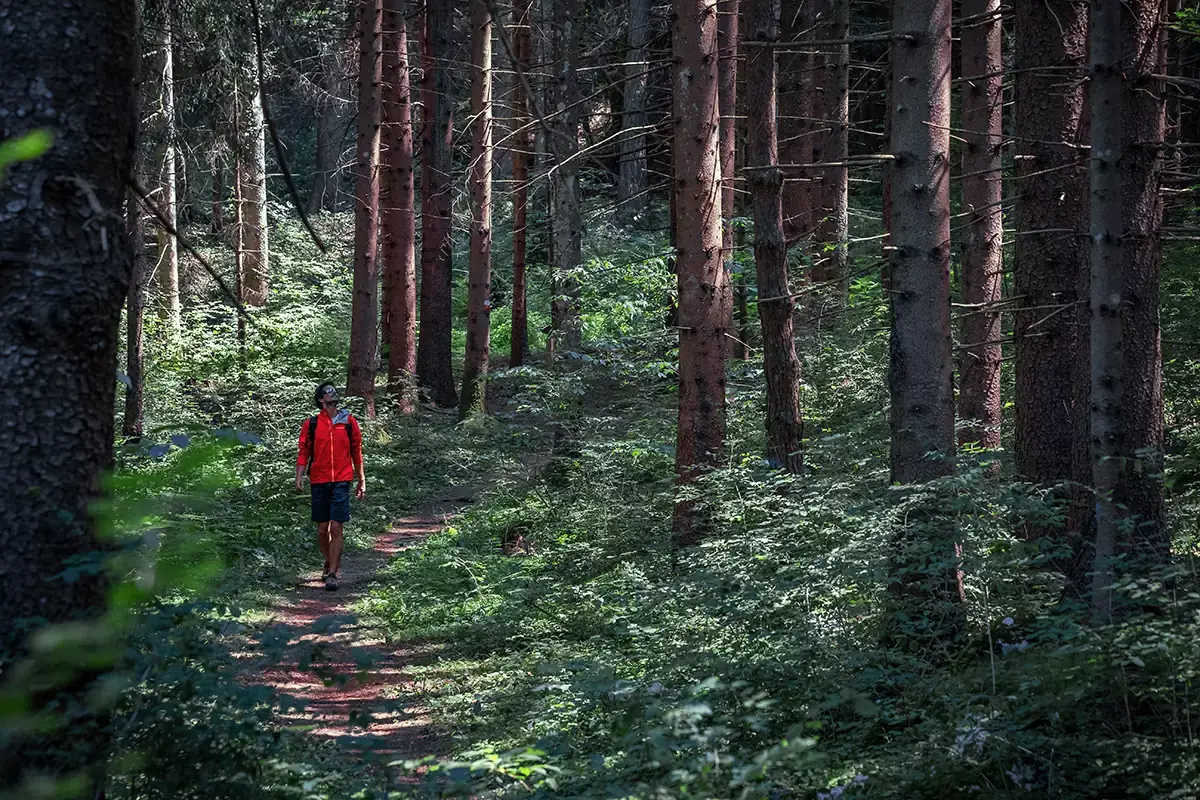 Immersione nel Parco del Respiro - Foto T. Pini Dolomiti Paganella, un sogno a occhi aperti
